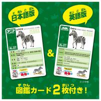 アニア AL-37 シマウマ