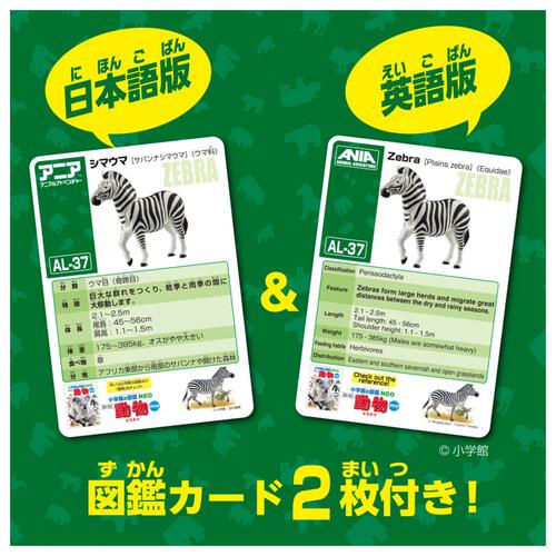 アニア AL-37 シマウマ