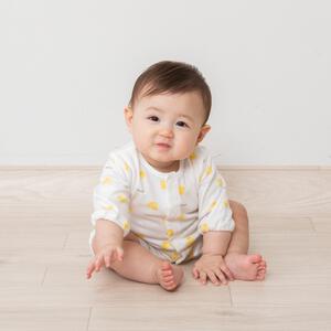 日本製ちびオール スムス ひよこ柄 ナチュラル&times;60-70cm ベビーザらス限定