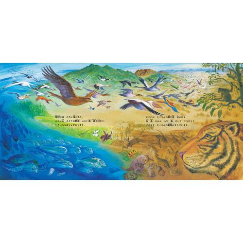 火の鳥 いのちの物語 絵本 手塚治虫 鈴木まもる 金の星社