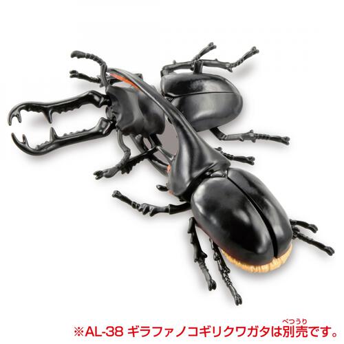 アニア AL-39 ネプチューンオオカブト