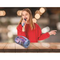 アナと雪の女王 ライトアップスピーカー＆マイク トイザらス限定 クリスマスプレゼント 6歳 7歳 8歳