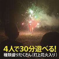 4人で30分遊べる 種類盛りだくさんバラエティー花火(打上花火入り)L 手持ち花火210本【オンライン限定】家庭用花火セット 花火詰め合わせ【メーカー直送】
