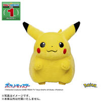 【お1人様1点限り】ポケモン30周年記念 おかえり！ピカチュウ1/1