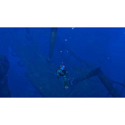 【Nintendo Switchソフト】フォーエバーブルー ルミナス