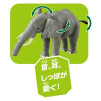 アニア AL-26 アフリカゾウ