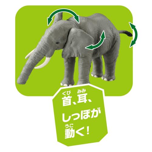 アニア AL-26 アフリカゾウ