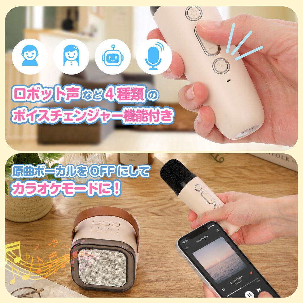 ブラックフライデー】どこでもカラオケ！ マイク＆スピーカーセット