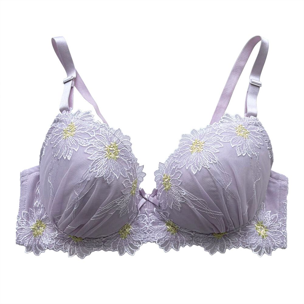 XY フラベベ フラエッテ フラージェス アンリミ XY フラベベ フラエッテ フラージェス アンリミ XY フラベベ