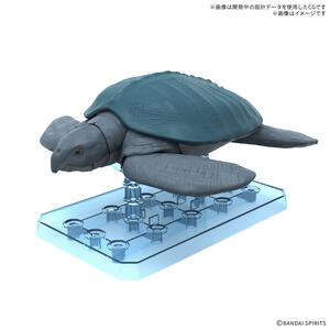 【予約受付商品】プラノサウルス アーケロン プラモデル【出荷予定日：2026年9月30日】