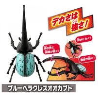 アニア 世界の昆虫バトルセット