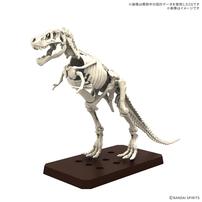 【予約受付商品】プラノサウルス ティラノサウルス1915 プラモデル【出荷予定日：2026年7月31日】