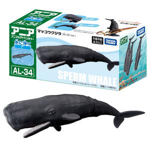 アニア AL-34 マッコウクジラ（水に浮くVer.）