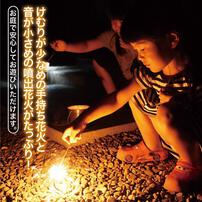 4人で20分遊べる お庭で花火セット(手持ち＆噴出し)【オンライン限定】家庭用花火セット 花火詰め合わせ 【メーカー直送】トイザらス限定