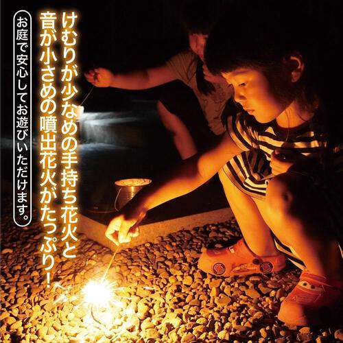 4人で20分遊べる お庭で花火セット(手持ち＆噴出し)【オンライン限定】家庭用花火セット 花火詰め合わせ 【メーカー直送】トイザらス限定