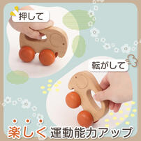 木製どうぶつ 手ころがしカー トイザらス限定【種類ランダム】  1歳 2歳 3歳