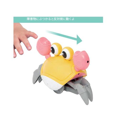 プレイポップ 追いかけっこカニさん トイザらス限定