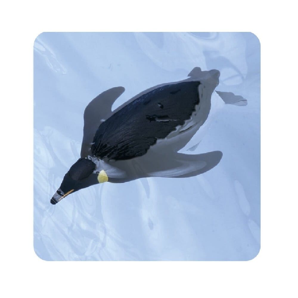 まっこう鯨の親子ペンギン まっこう鯨の親子ペンギン