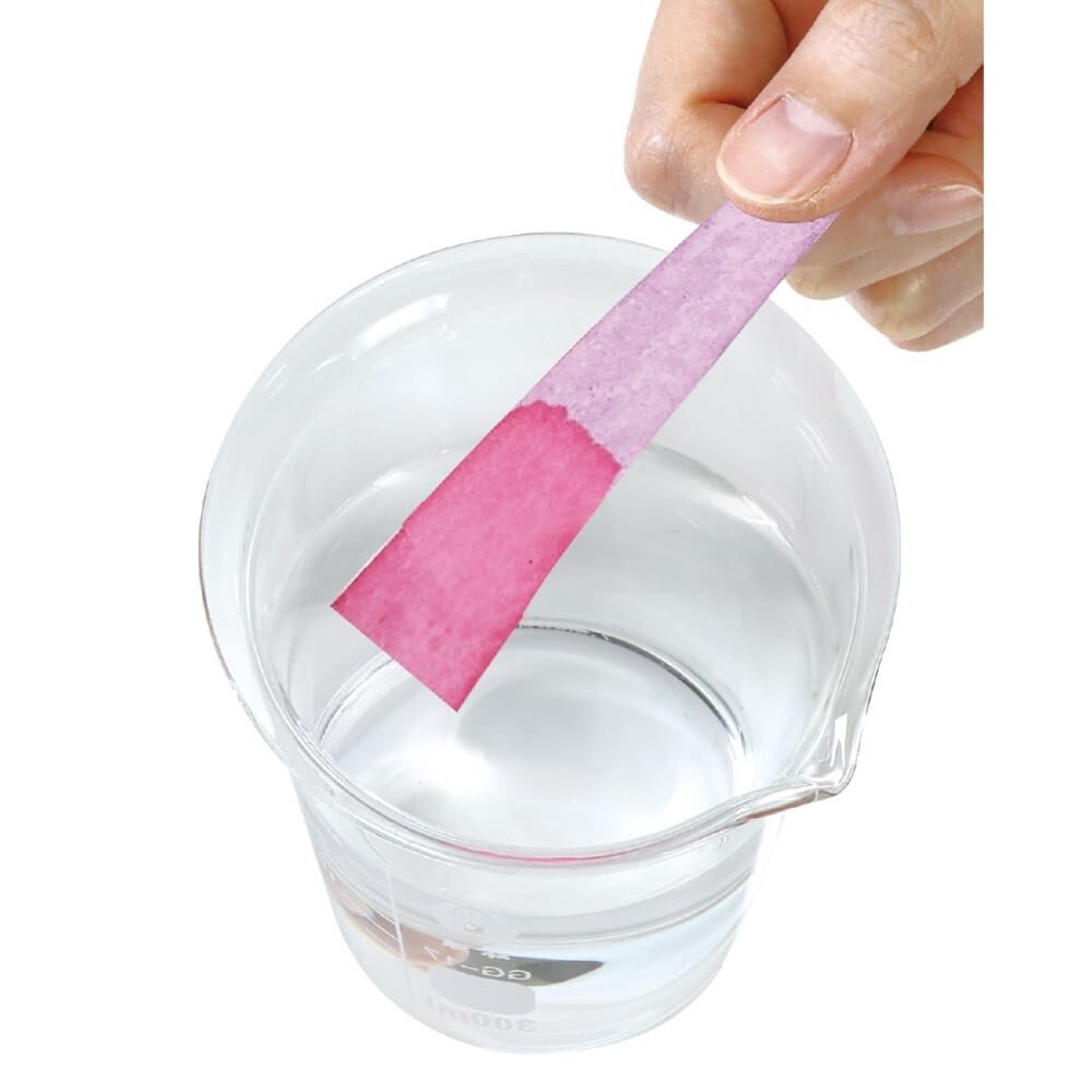 f3ac7082c170811e1a3e8e2910b6c9