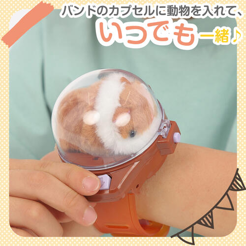 リモコンどうぶつバンド ハムスター トイザらス限定  3歳 4歳 5歳