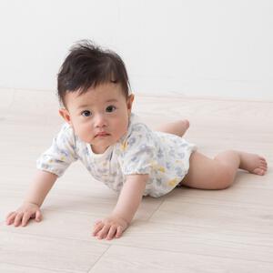 日本製7分袖ロンパス スムス ぞう柄 ナチュラル 50-60cm