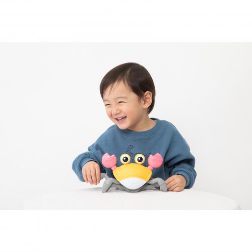 プレイポップ 追いかけっこカニさん トイザらス限定