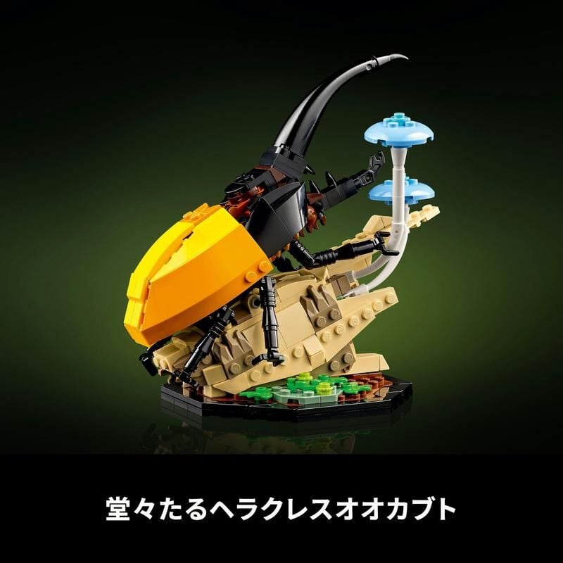 つぼ　壺5 The Insect Collection 21342 | Ideas | Buy online at the