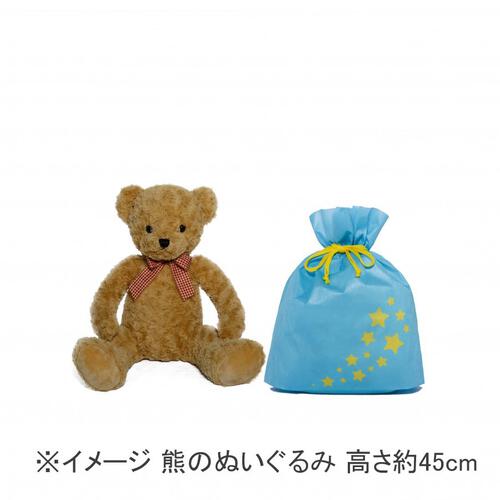 スターギフトバッグ 不織布（約）40ｘ44.5cm 水色 星 Sサイズ クリスマスラッピング 巾着袋 おもちゃ 子供 リボン 簡単 マチあり かわいい トイザらス限定