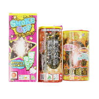 4人で20分遊べる お庭で花火セット(手持ち＆噴出し)【オンライン限定】家庭用花火セット 花火詰め合わせ 【メーカー直送】トイザらス限定