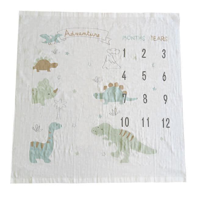 表ガーゼ湯上り正方形 恐竜(オフホワイト×フリー) ベビーザらス限定