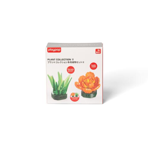 プラントコレクション 多肉植物セット２ トイザらス限定 クリスマスプレゼント 8歳 9歳 10歳