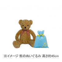 スターギフトバッグ 不織布（約）23ｘ34cm 水色 星 SSサイズ クリスマスラッピング 巾着袋 おもちゃ 子供 リボン 簡単 マチあり かわいい トイザらス限定