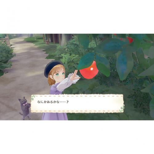 【Switchソフト】マジカルクラフト 猫と魔法のドレス