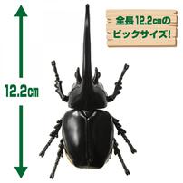 アニア AL-39 ネプチューンオオカブト
