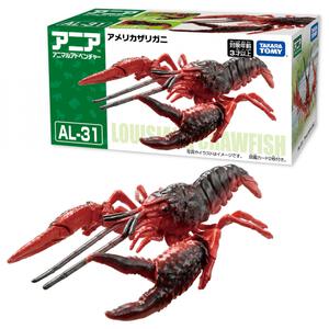 アニア AL-31 アメリカザリガニ