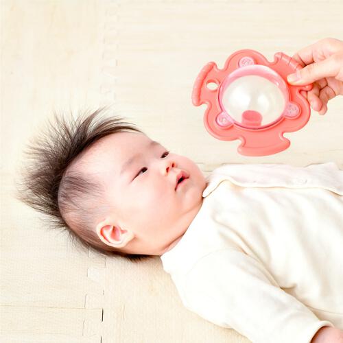 赤ちゃん観察シリーズ ぐずぴたマラカス