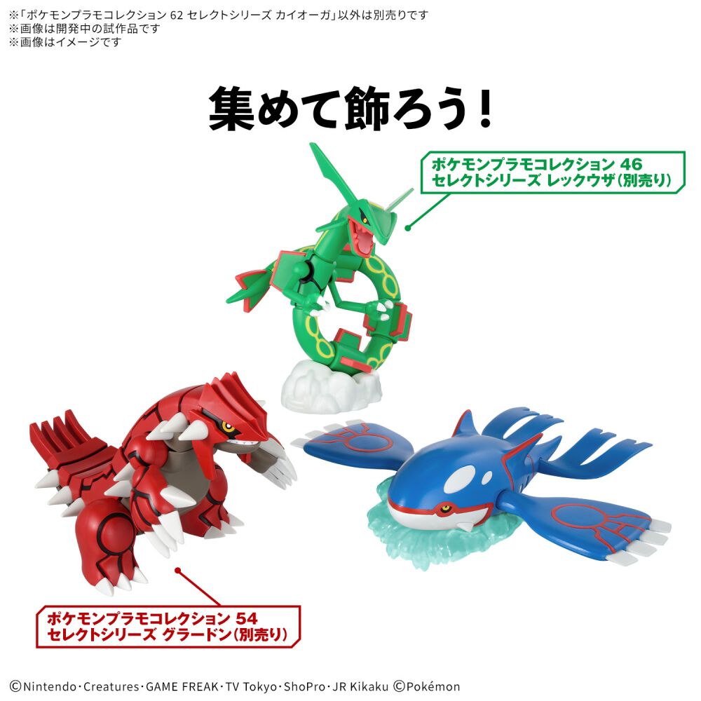 予約受付商品】ポケモンプラモコレクション No.62 セレクトシリーズ