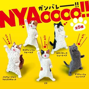 YELL エール NYAoooo！【種類ランダム】 フィギュア 動物 どうぶつ 猫 ねこ ガチャガチャ