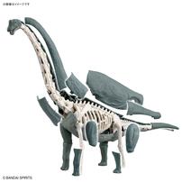 プラノサウルス ブラキオサウルス
