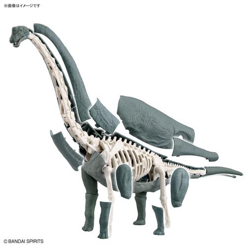 プラノサウルス ブラキオサウルス