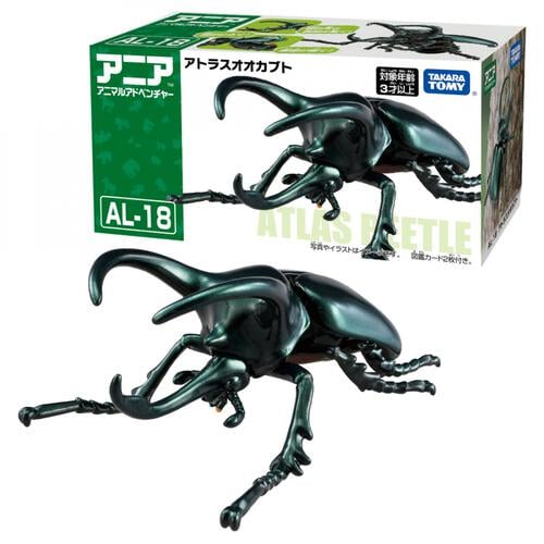 アニア AL－18 アトラスオオカブト