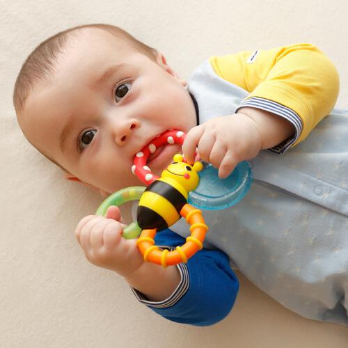 Sassy カミカミみつばち