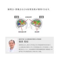 ダイヤブロック OKOMEIRO（オコメイロ）S