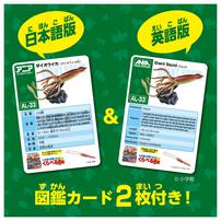 アニア AL-33 ダイオウイカ（水に浮くVer.）