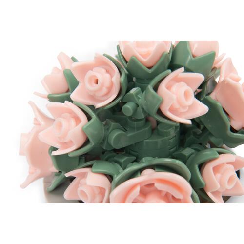 プラントコレクション 多肉植物セット５トイザらス限定 クリスマスプレゼント 8歳 9歳 10歳