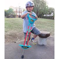 ラングス バランスホッピング 【種類ランダム】ブルー プレゼント