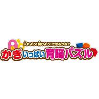 【オンライン限定価格】入れよう！開けよう！できるかな？かぎいっぱい育脳パズル  2歳 3歳 4歳