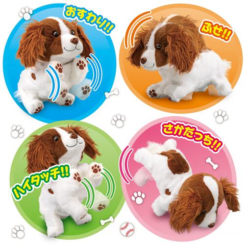 ハイタッチ！さかだっち！Showtime（ショウタイム） ぬいぐるみ