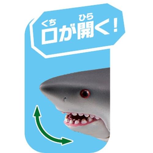 アニア AS-07 ホホジロザメ（水に浮くVer.）