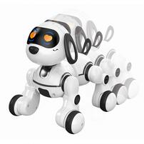 プレイポップ RC ロボペット ドッグ トイザらス限定 ラジオコントロール  3歳 4歳 5歳